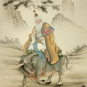 la médecine chinoise pour guérisseurs